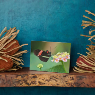 Art Deco Plaque-Butterfly Plaque Fotoplatte