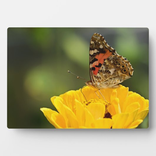 Art Deco Plaque-Butterfly Plaque Fotoplatte (Vorderseite)