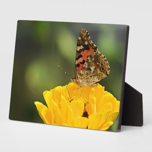 Art Deco Plaque-Butterfly Plaque Fotoplatte (Seite)