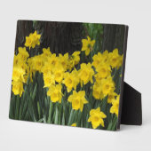 Art Deco Plaque-Daffodils Plaque Fotoplatte (Seite)