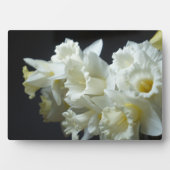 Art Deco Plaque-Daffodils Plaque Fotoplatte (Vorderseite)