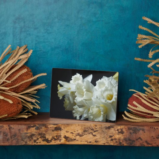 Art Deco Plaque-Daffodils Plaque Fotoplatte (Seite)