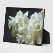 Art Deco Plaque-Daffodils Plaque Fotoplatte (Seite)
