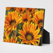 Art Deco Plaque-Fall-Blume Plaque Fotoplatte (Seite)