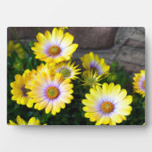 Art Deco Plaque Fotoplatte (Vorderseite)