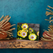 Art Deco Plaque Fotoplatte (Seite)