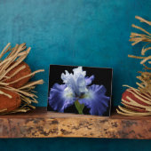 Art Deco Plaque-Iris Plaque Fotoplatte (Seite)