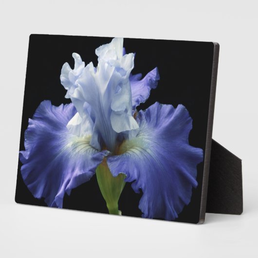 Art Deco Plaque-Iris Plaque Fotoplatte (Seite)
