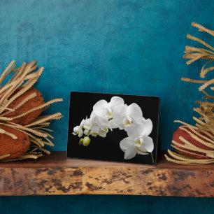 Art Deco Plaque-Orchid Blume Plaque Fotoplatte