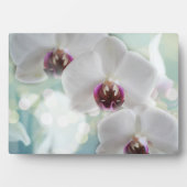 Art Deco Plaque-Orchid Blume Plaque Fotoplatte (Vorderseite)