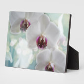 Art Deco Plaque-Orchid Blume Plaque Fotoplatte (Seite)