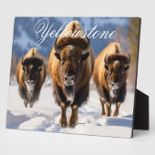 Art Deco - Yellowstone Fotoplatte (Seite)