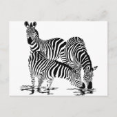 Art Deco Zebra Postkarte (Vorderseite)