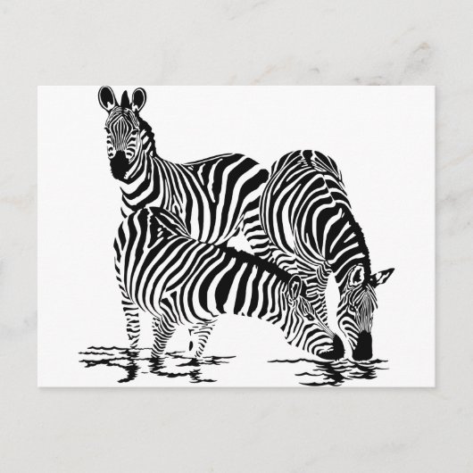 Art Deco Zebra Postkarte (Vorderseite)