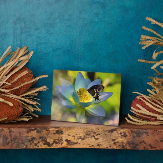 Art Decor Plaque-Butterfly Blume Fotoplatte (Seite)