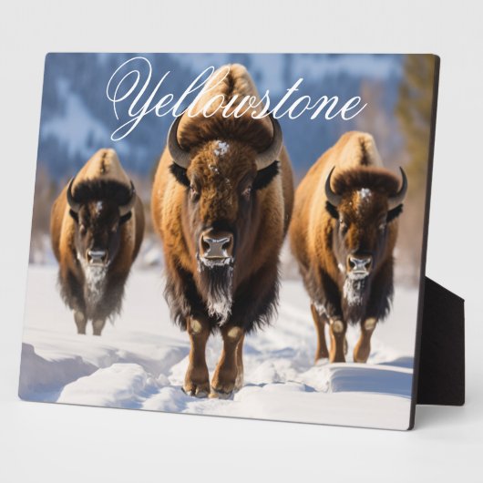Art Decor - Yellowstone Fotoplatte (Seite)