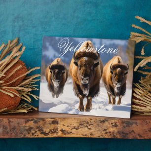 Art Decor - Yellowstone Fotoplatte