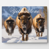 Art Decor - Yellowstone Fotoplatte (Vorderseite)