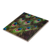 Art Deko aquamarine türkisgrüne Pfauenfeder Fliese (Seite)