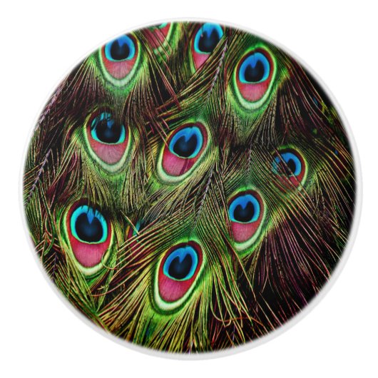 Art Deko aquamarine türkisgrüne Pfauenfeder Keramikknauf (Vorderseite)