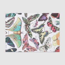 Art der Butterflys Moth Chart Decoupage Seidenpapier