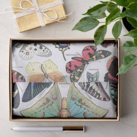 Art der Butterflys Moth Chart Decoupage Seidenpapier (Geschenk)