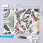 Art der Butterflys Moth Chart Decoupage Seidenpapier (Handwerk)