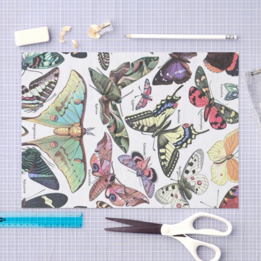 Art der Butterflys Moth Chart Decoupage Seidenpapier (Handwerk)