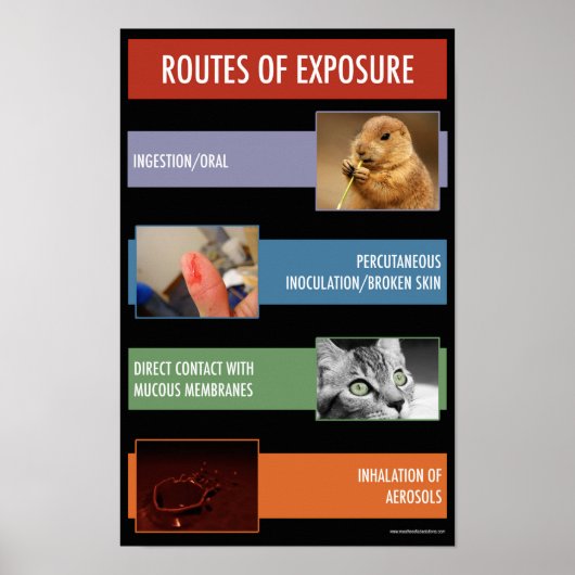 Art der Exposition Sicherheitshinweise Poster (Vorne)