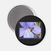 Art der liebenden Vogelart Magnet (Vorderseite/Rückseite)