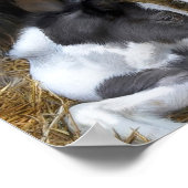 Art der Mutter Poster (Ecke)