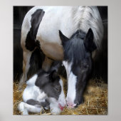 Art der Mutter Poster (Vorne)