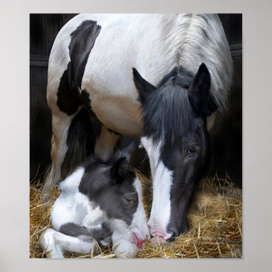 Art der Mutter Poster (Vorne)