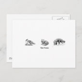 Art der Red Fox Line (Titel) Postkarte (Vorne/Hinten)