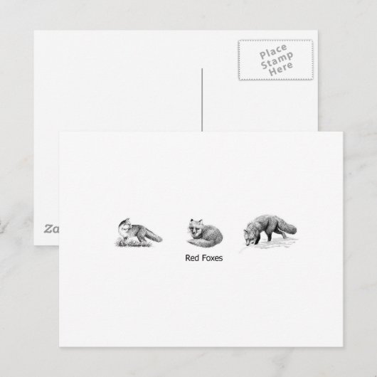Art der Red Fox Line (Titel) Postkarte (Vorne/Hinten)