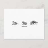 Art der Red Fox Line (Titel) Postkarte (Vorderseite)