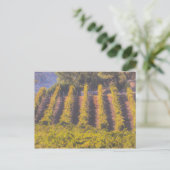 Art des Weingartens Postkarte (Stehend Vorderseite)