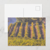 Art des Weingartens Postkarte (Vorne/Hinten)