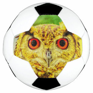 Art Fußball