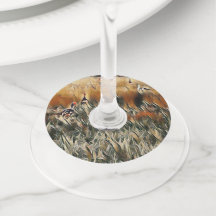 Art Gänse und Duck Roam