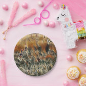 Art Gänse und Duck Roam Pappteller (Party)