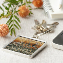 Art Gänse und Duck Roam