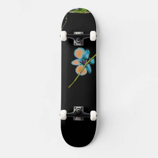 Art II Skateboard (Vorderseite)