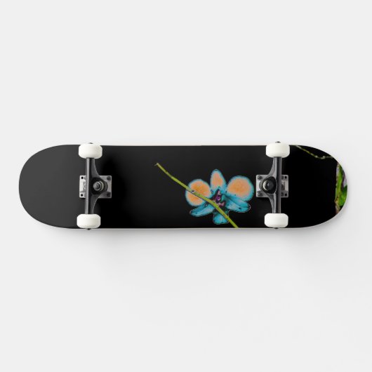 Art II Skateboard (Horizontal)
