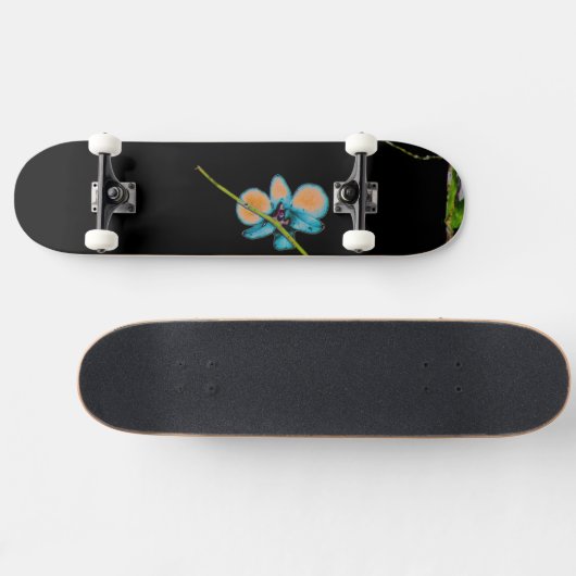 Art II Skateboard (Horizontal)