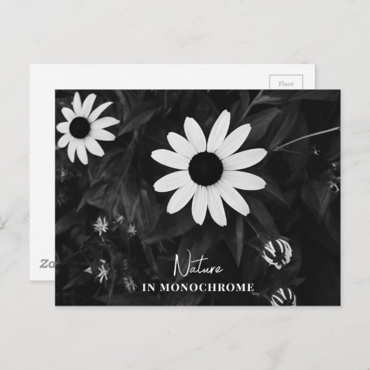 Art in Monochrom Postkarte (Vorne/Hinten)