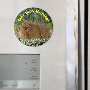 Art Inspiriert Niedliche Guinea Schweinebuchtenvor Magnet
