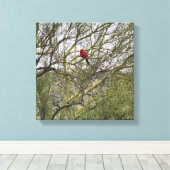 Art Leinwand Kardinal (Insitu (Holzboden))