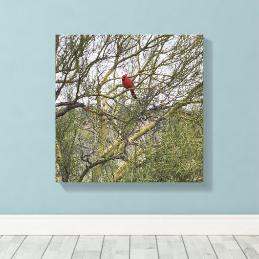 Art Leinwand Kardinal (Insitu (Holzboden))