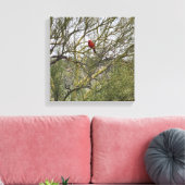 Art Leinwand Kardinal (Insitu (Wohnzimmer))